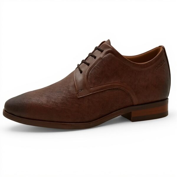 Aldo Mens Brendan Oxford Leather Lace-Up Shoes