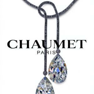 ASSOULINE French Book Hardcover 80 Pages July 2018-0