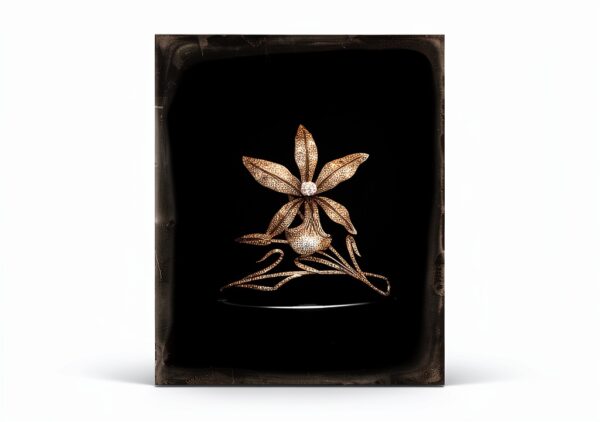 Thames Hudson French Book 2023 Publication Hardcover-6